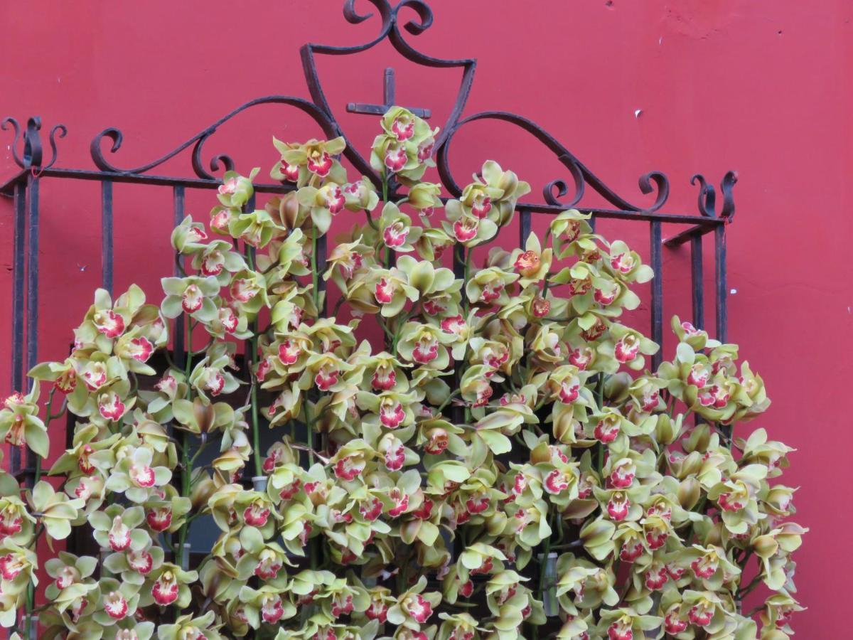 Hotel Boutique Casa De Eunice Santa Ana Dış mekan fotoğraf